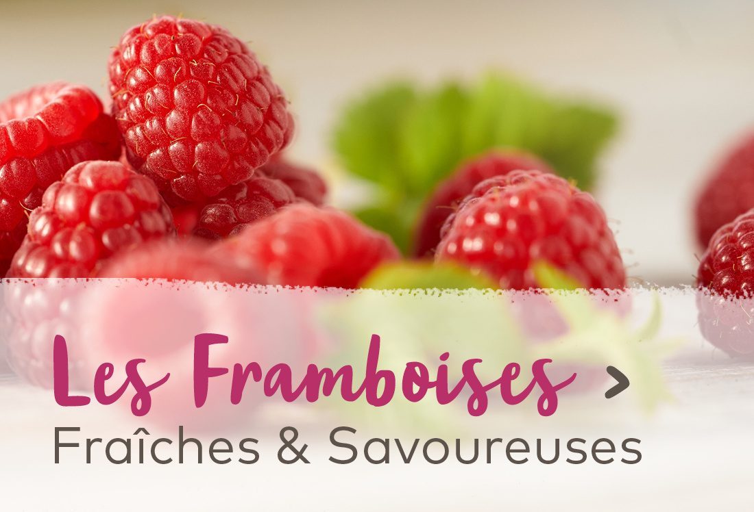 Les framboises - Fraîches & Savoureuses