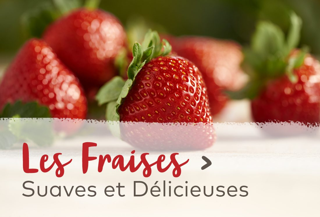 Les fraises - Suaves et Délicieuses