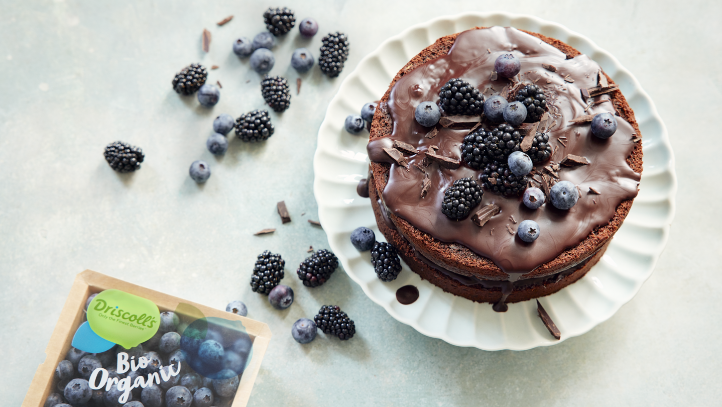Gâteau au chocolat végétalien avec des mûres et des myrtilles Driscoll's