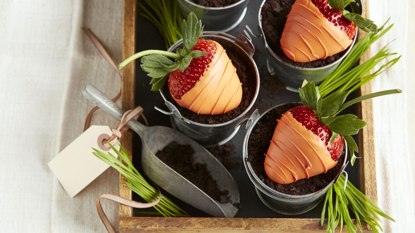 Carottes en fraises enrobées de chocolat dans des pots en terre de chocolat