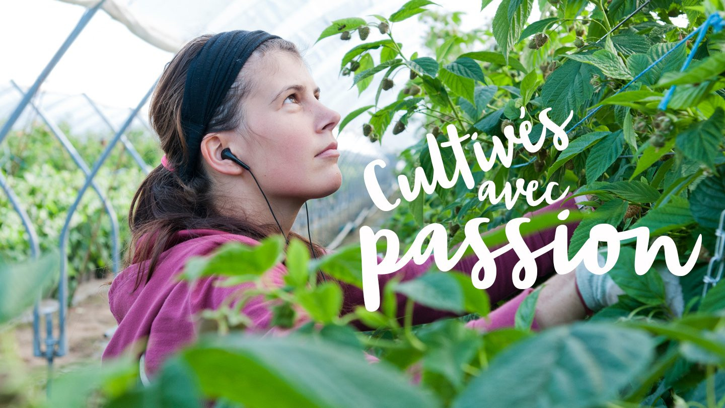 Des fruits cultivés avec amour