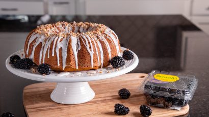 Gâteau à la citrouille et aux mûres