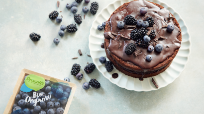 Gâteau au chocolat végétalien 