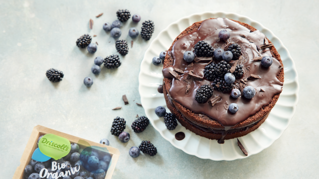 Gâteau au chocolat végétalien avec des mûres et des myrtilles Driscoll's