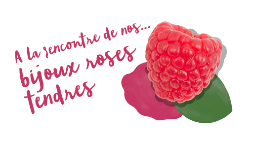 A la rencontre de nos<br>roses tendres<br>bijoux