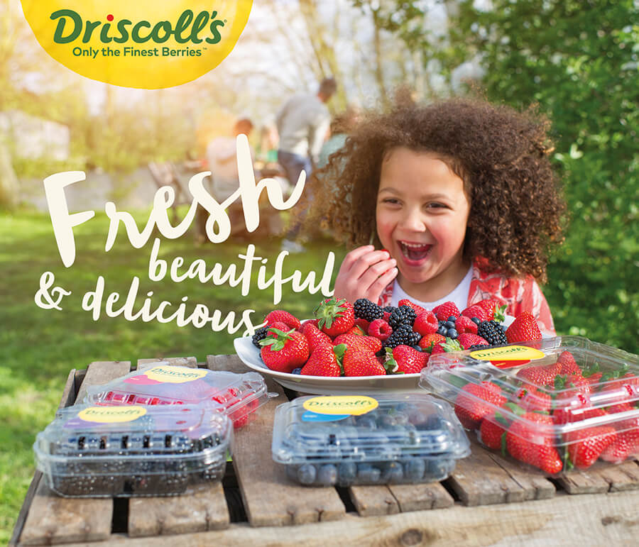 driscolls