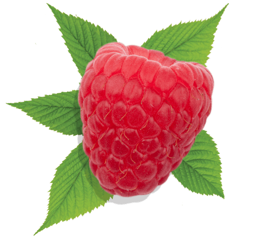 raspberry